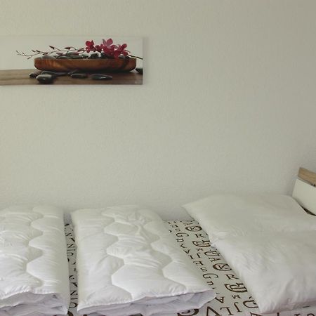 Helles Appartement Im Allgau Leutkirch im Allgau Ngoại thất bức ảnh